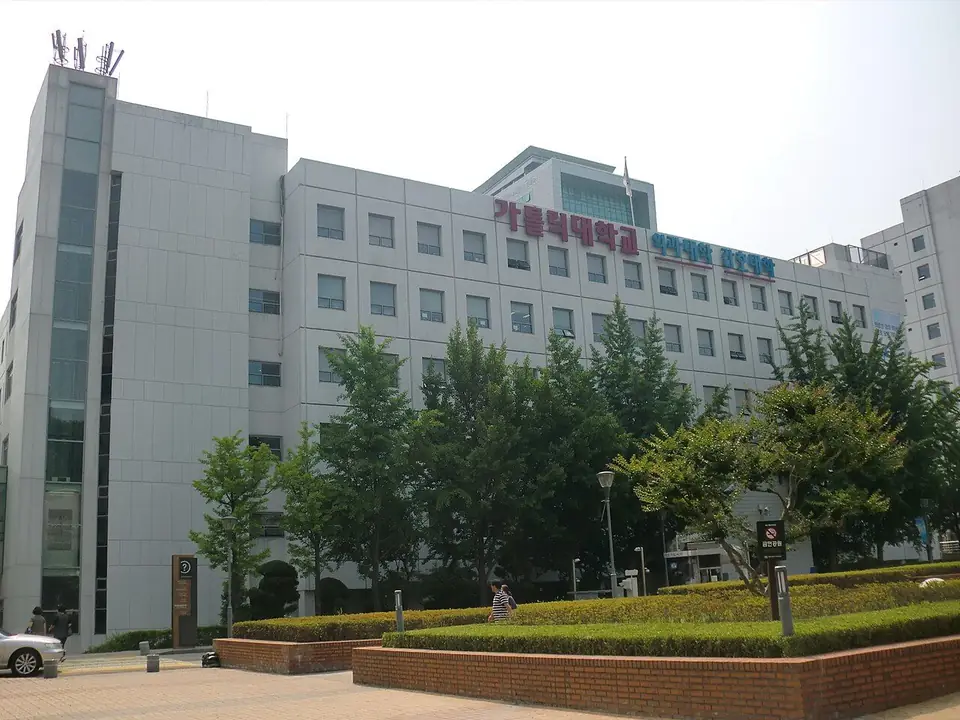'가톨릭대학교 의과대학 간호대학' 글자가 붙은 흰 건물과 앞쪽 나무·화단