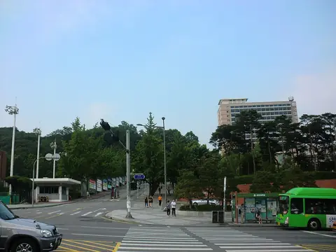 나무가 우거진 언덕 아래 교문 쪽 도로와 횡단보도, 뒤쪽의 높은 캠퍼스 건물